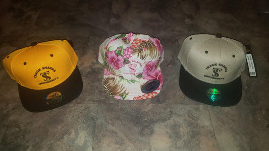 TS SnapBack Hats