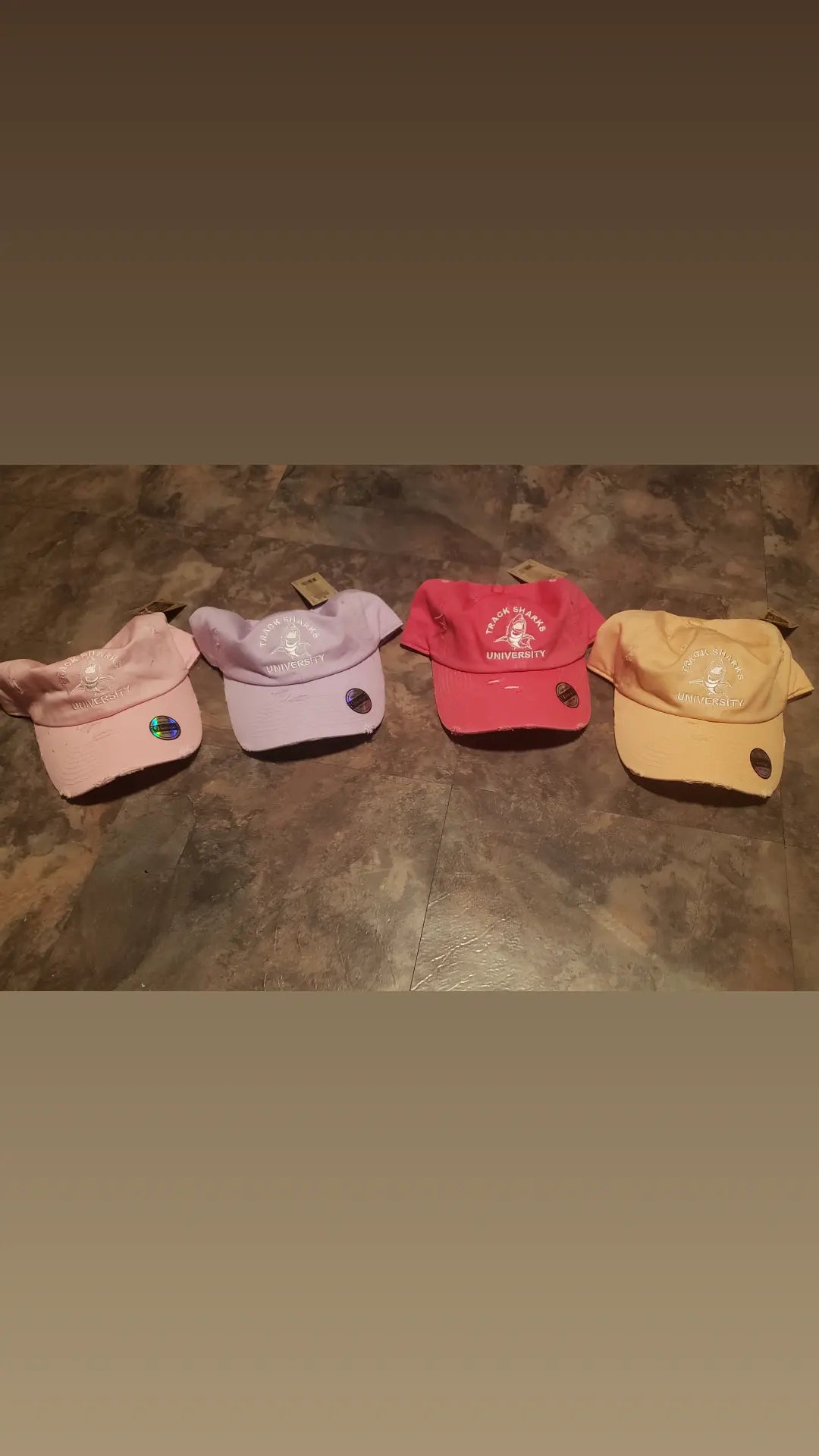 TS SnapBack Hats